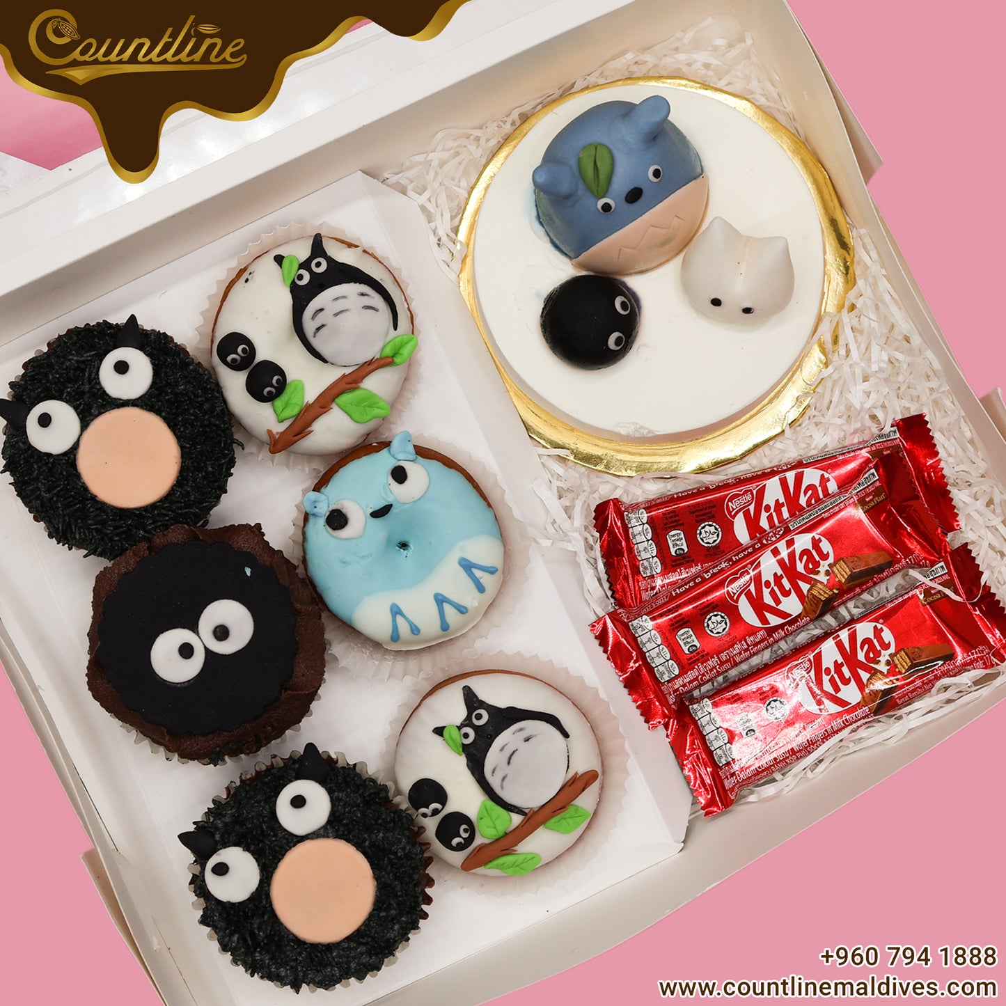 Special Bento Cake with Cupcake Box