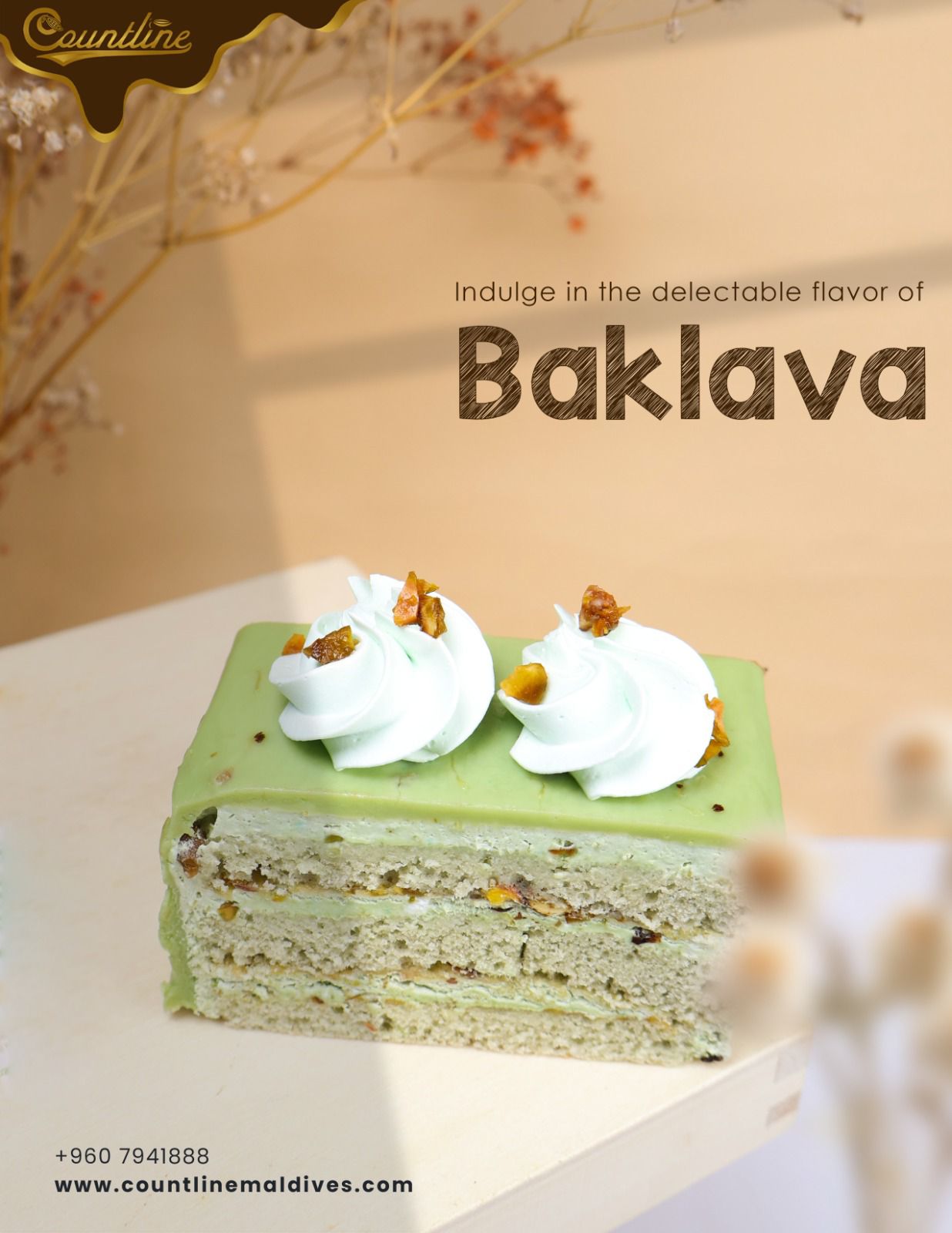 Baklava Cake Slice (6 Pcs)